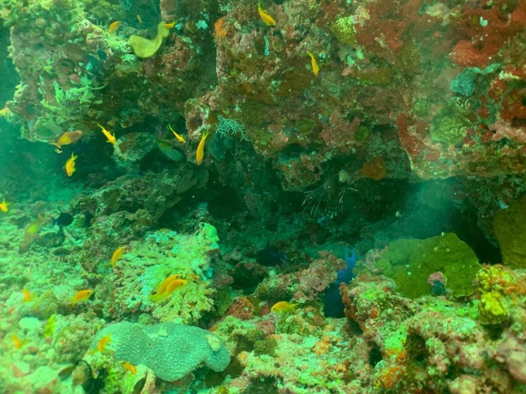 Beach Star Maldives Hangnaameedhoo Zewnętrze zdjęcie